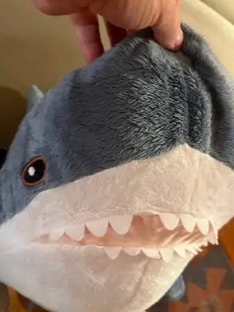 Baby Shark - Very Good Condition