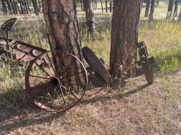 Various Size Antique Steel Wheels