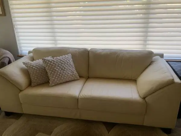 Leather Sofa and slipper chair