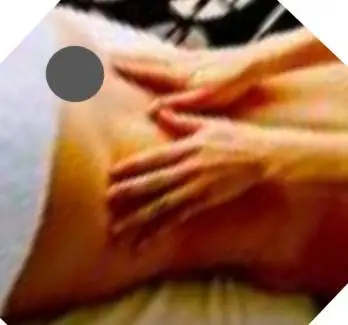 Shiatsu Massager. Free Touch Energy Care therapy!