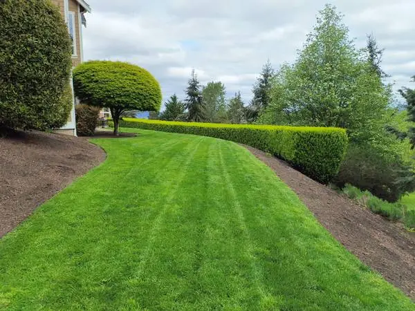 🍃Francisco’s Landscaping🍃 no