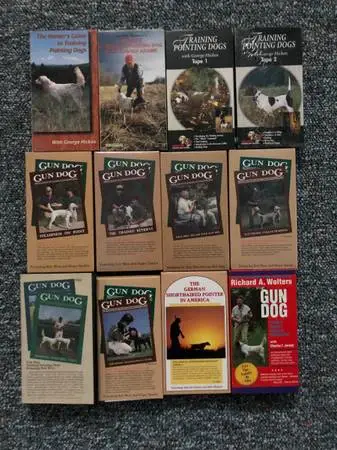 Pointing dog training videos