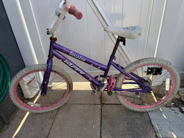 20 Inch Bike