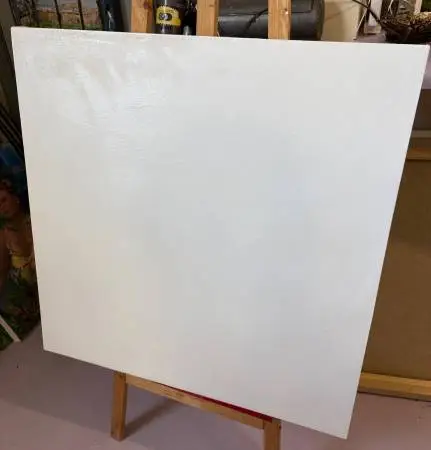 30”x30”x2” Gallery Wrapped Canvas, White, new