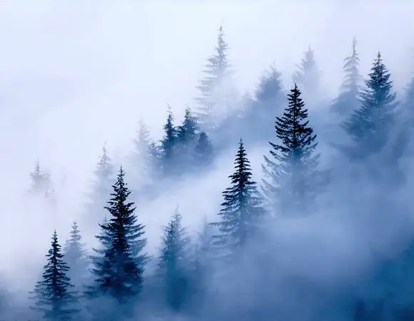 Valley Fog 18x22.5 print mounted laminated