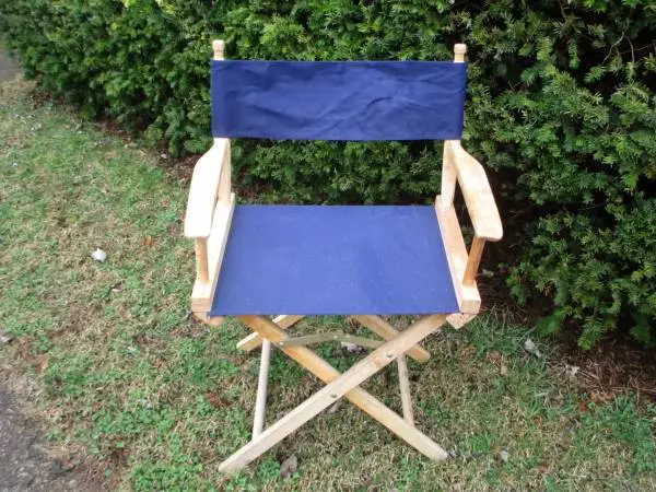 Directors Chair In Excellent Condition