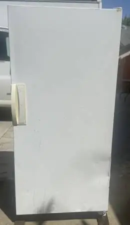 Upright Freezer 21 Cu Ft