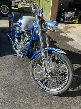 Custom Softtail