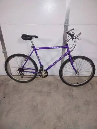 RARE RETRO RALEIGH/CARLTON - VINTAGEVIPER18 SPD/LRG-21 FRAME
