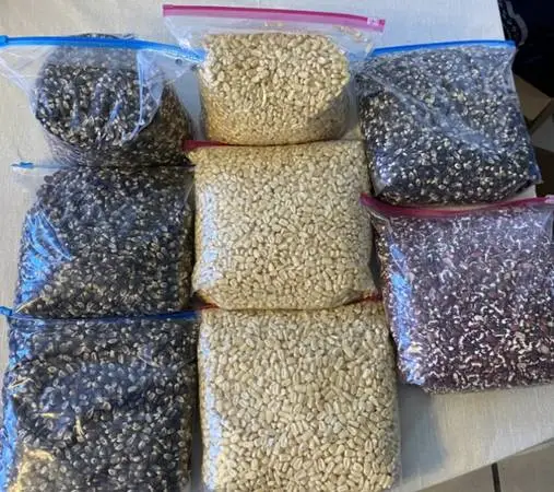 Blue corn
