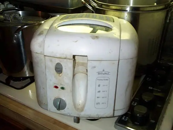 RIVAL Fry FOOD Deep FRYER French Fries Portable Electric CF151