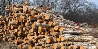 Looking for free firewood. Landscapers, tree trimmers, yard cleanup