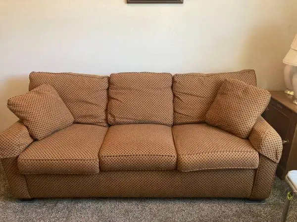 FREE Sleeper Sofa