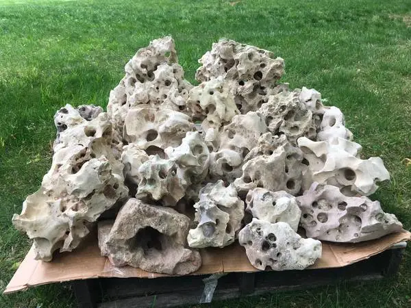 Texas Holey Rock, 238 Pounds