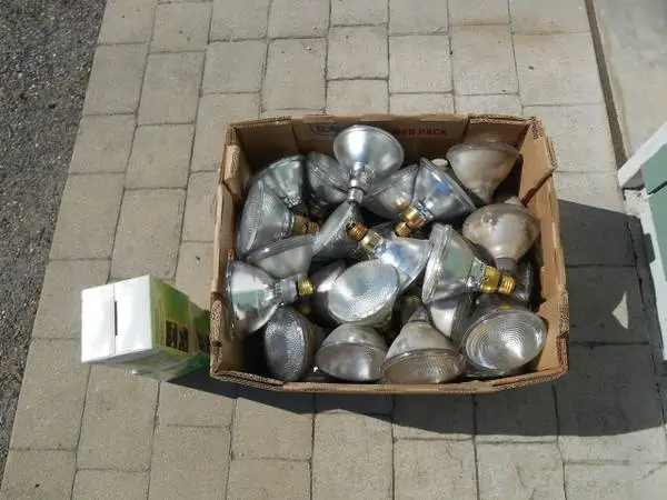 Group of 50 halogen PAR 38 size outdoor flood bulbs