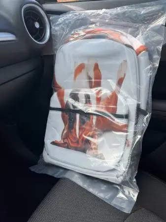 Dog on his back backpack