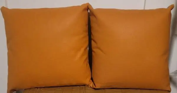Cute Decorative Orange Throw pillows
