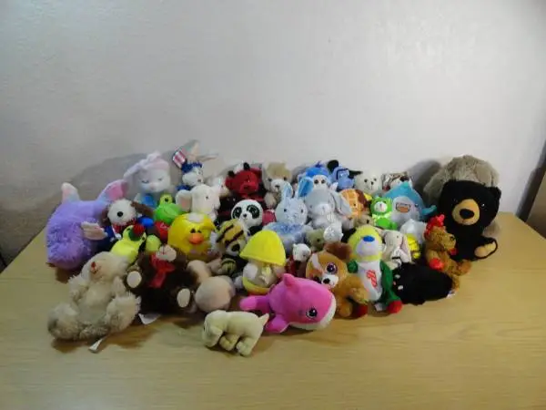 55 Stuffed Animals All for $20.00
