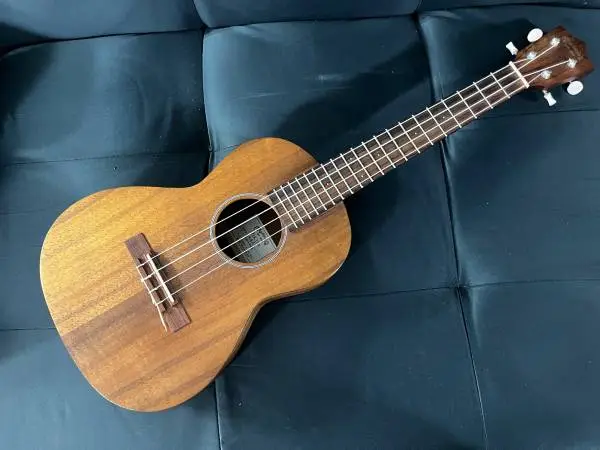 Martin T1K tenor ukulele w/ K&K pickup, double gig bag