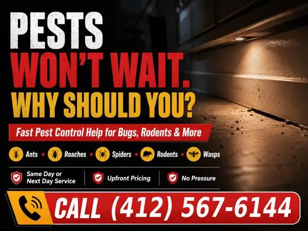 🐾🚨 Pest Control: Something In Your Home That Shouldnt Be There?