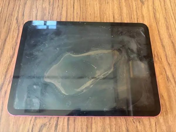 Apple iPad