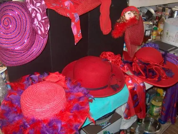 HATS (DERBY) LADIES RED HAT SOCIETY SCARFS 24 ITEMS ONE PRICE