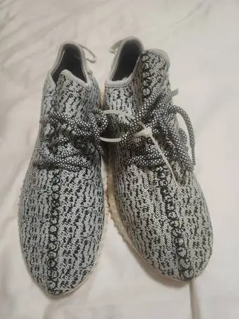 Adidas Yeezy Boost 350 Turtle Dove Size 7
