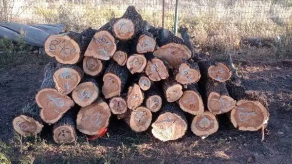 juniper post