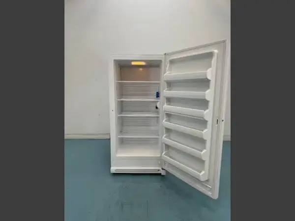 Frigidaire 20 CU FT General Purpose Freezer