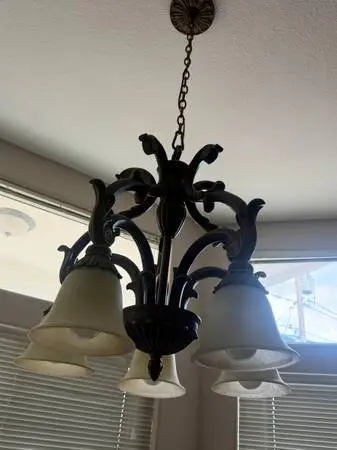 Chandeliers, dog items, ceiling fans