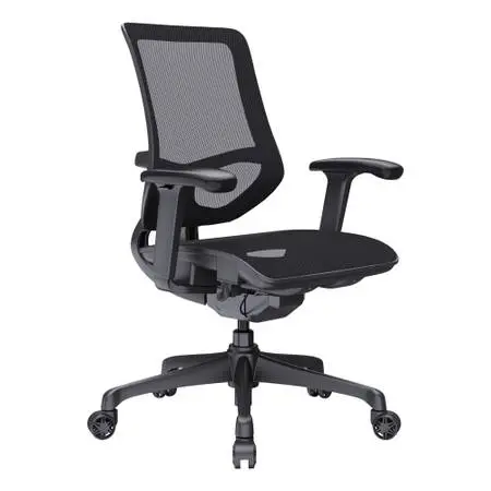 WorkPro® 1000 Series Ergonomic Mesh/Mesh Mid-Back Task Office Chair, B
