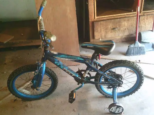 Adorable-Boys Bike-Training Wheels-16Dynacraft-Suspect-New Over 100.