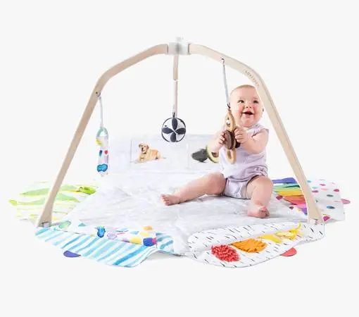 Lovevery The Play Gym Baby Activity & Tummy Time Montessori Mat