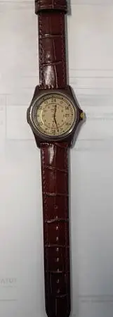 Vintage Timex Safari Railway Time Quartz watch