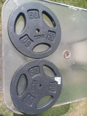 Pair Standard 50 Lb Plate Weights