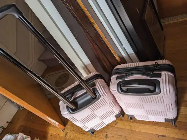 2 small kids luggage carrixage