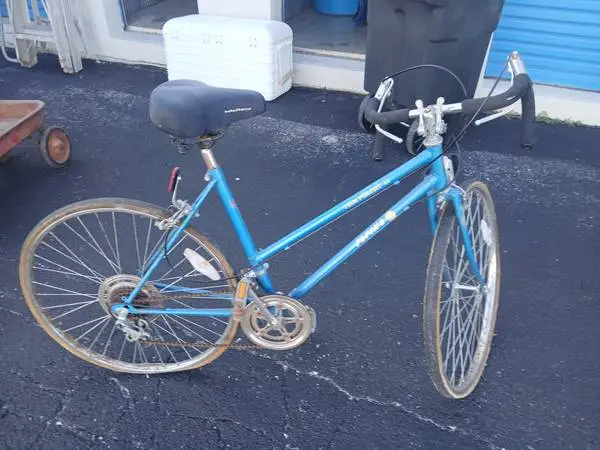 10 Speed Unisex Adult Bicycle