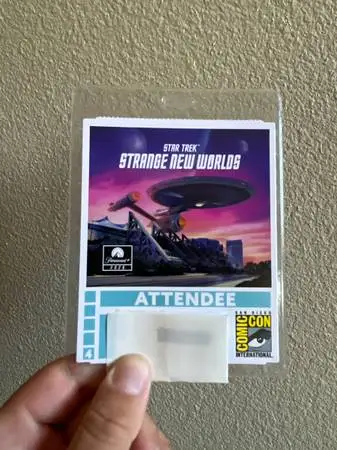 Comic Con Sunday Badge