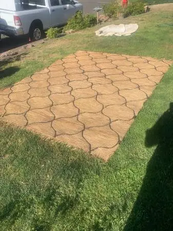 10 x 8. Rug