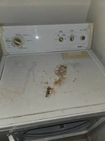 Dryer