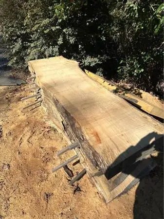 Live Edge Oak Slabs