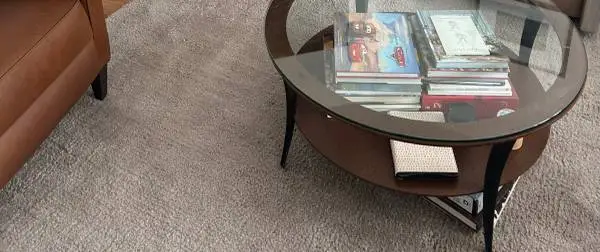 Pottery Barn Dalton Hand Loomed Wool Shag Rug, 9x12,