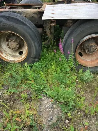 Rockwell 46000 LB Cutoff