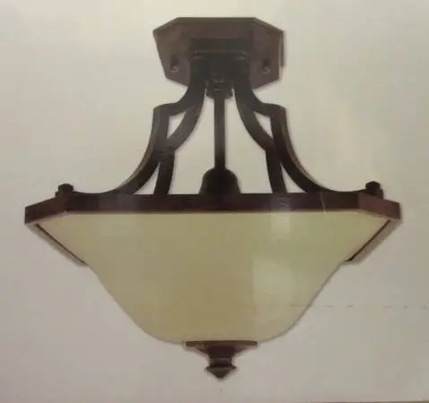 NEW - CEILING LIGHT -- DARK BRONZE WITH ANTIQUE OPAL GLASS SHADE