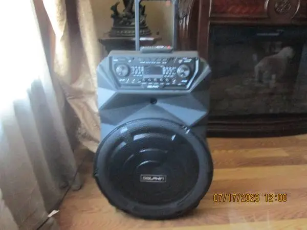 Dolphin party speaker