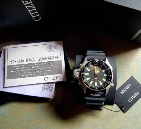 Citizen Promaster Aqualand Watch