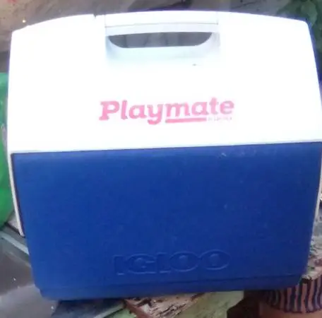 Igloo Playmate Elite