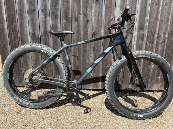 Salsa Beargrease Bicycle carbon