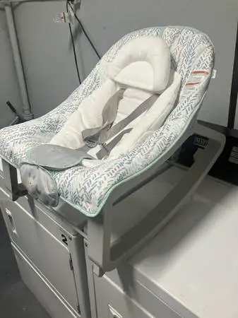 Ingenuity Child Infant Toddler Baby Play Rocking Chair Rocker Seat