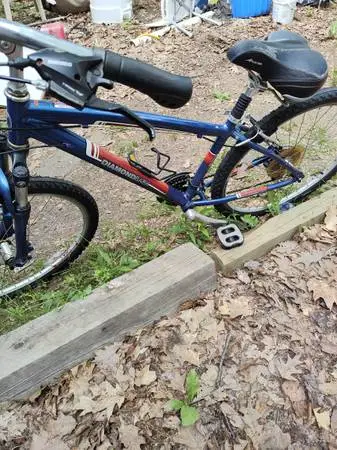 26 Diamondback 21 spd wildwd